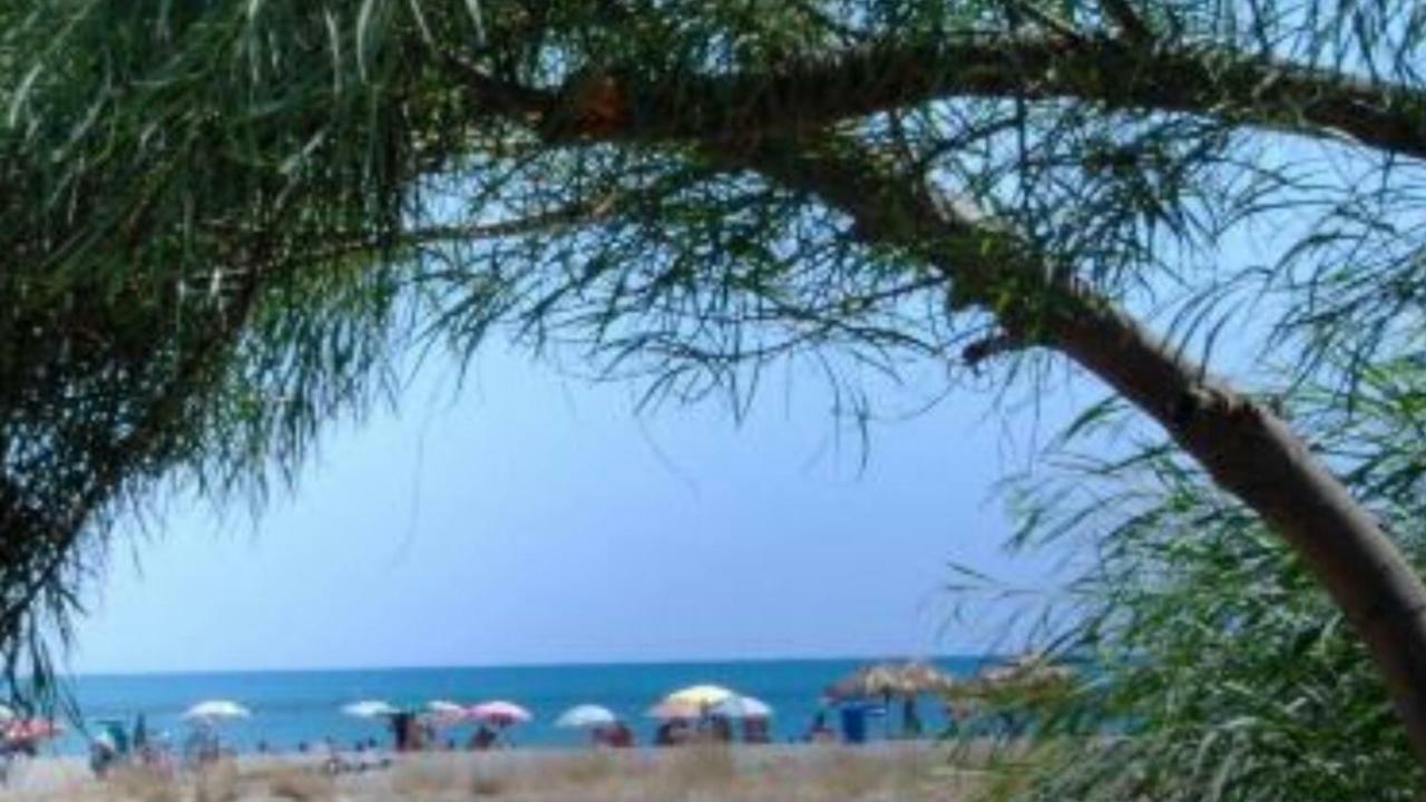 Casa Vacanze " Mela " Nova Siri Eksteriør bilde